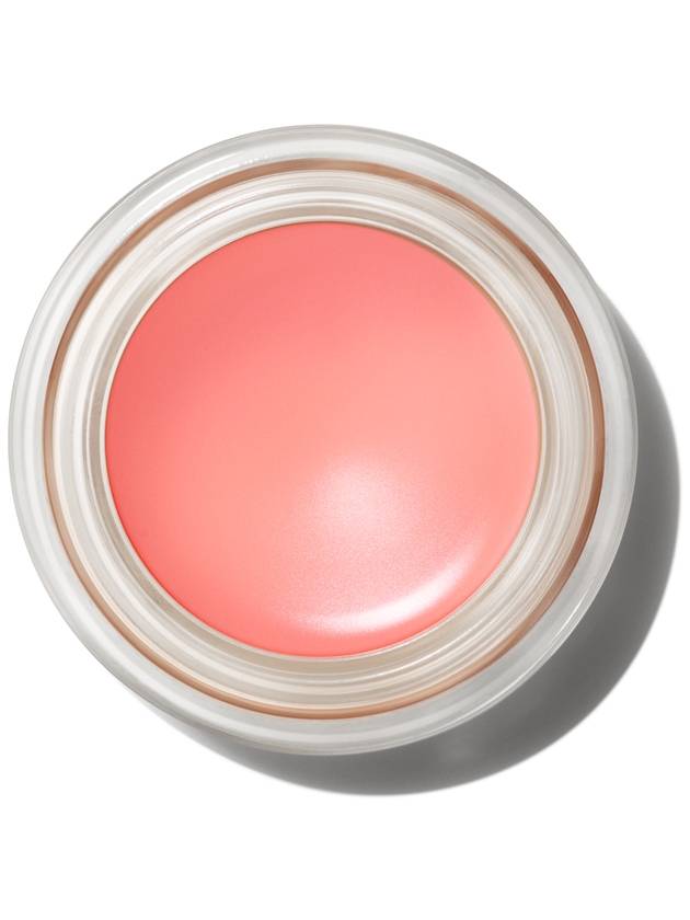 MAC Cosmetics - Pro Longwear Paint Pot Eye Shadow - 아트 테라-피치 - 5g