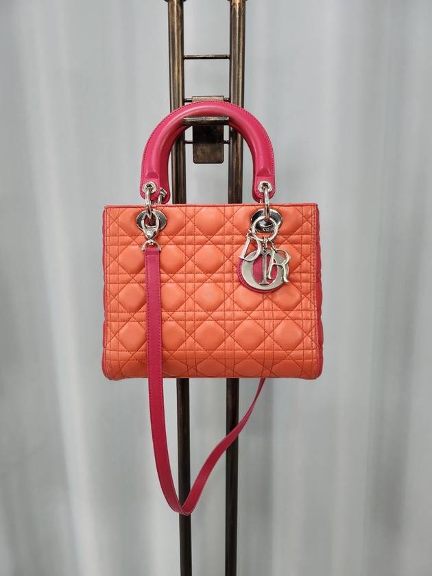 디올 레이디백 투톤 미디움 토트 숄더백