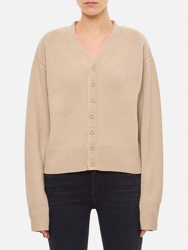 Extreme Cashmere X V Neck Cashmere Cardigan