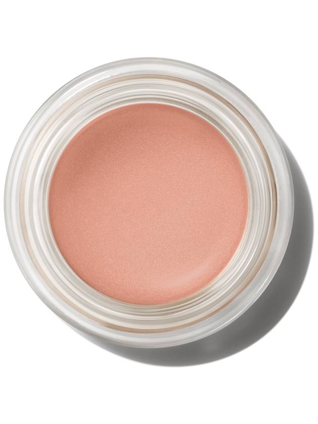 MAC Cosmetics - Pro Longwear Paint Pot Eye Shadow - 레잉 로우 - 5g