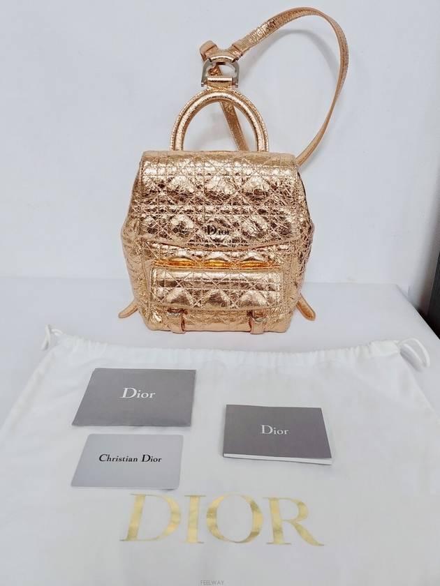 디올 남성 백팩