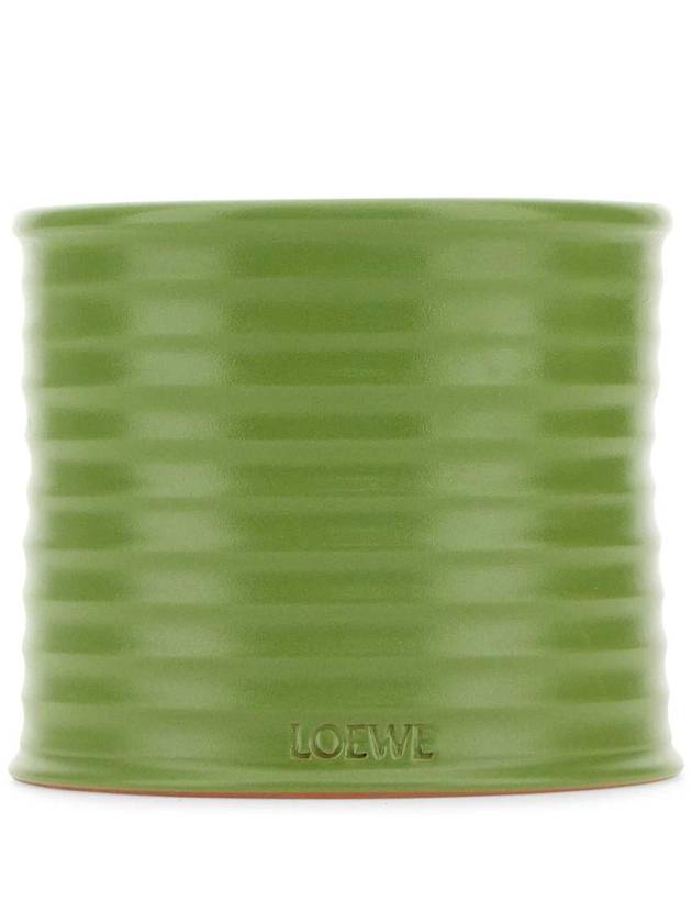 LOEWE LW67775 LUSCIOUS PEA 미디엄 러셔스 완두콩 향초