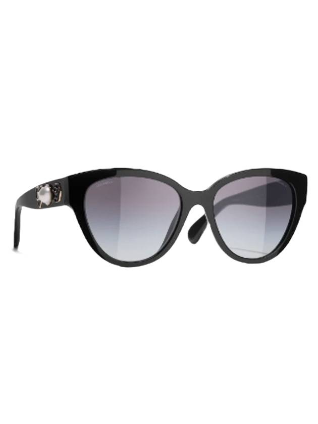 샤넬 아이웨어 버터플라이 아세테이트 선글라스 블랙