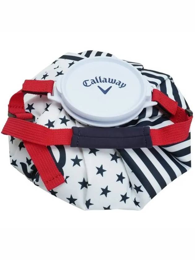 캘러웨이 골프 얼음주머니 골프용 얼음찜질팩 C23198105