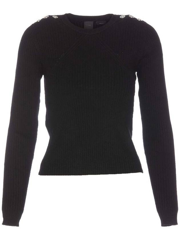 Pinko Robusto Sweater