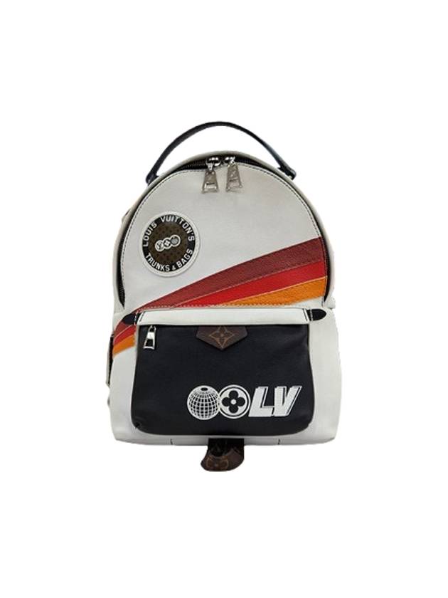 루이비통 팜스프링스 PM 백팩 M55797