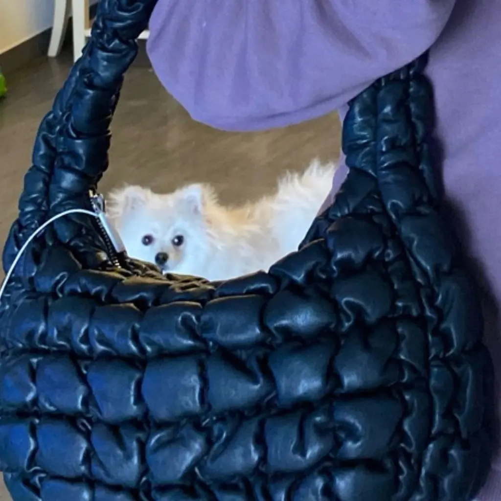 badukyi의 리뷰 이미지