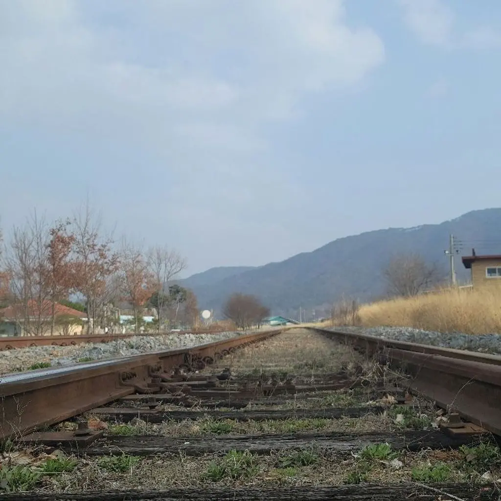 wownd6456의 리뷰 이미지